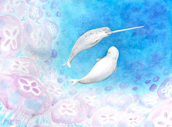 a beluga and narwhal swimming with jellies